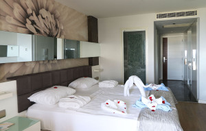 Superior Room With Jacuzzi