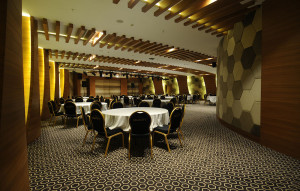 Conference & Meeting Rooms